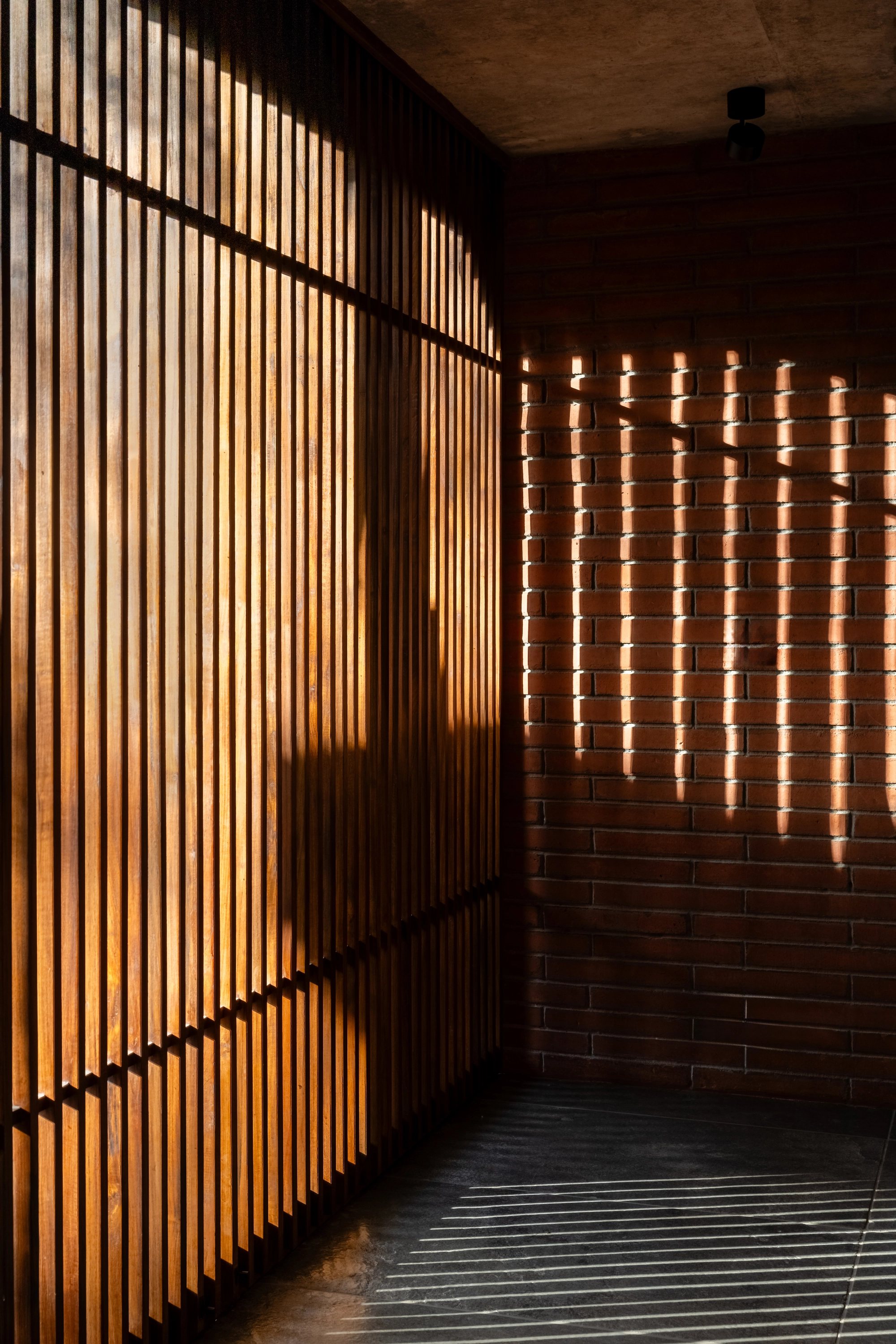 Project Image 22