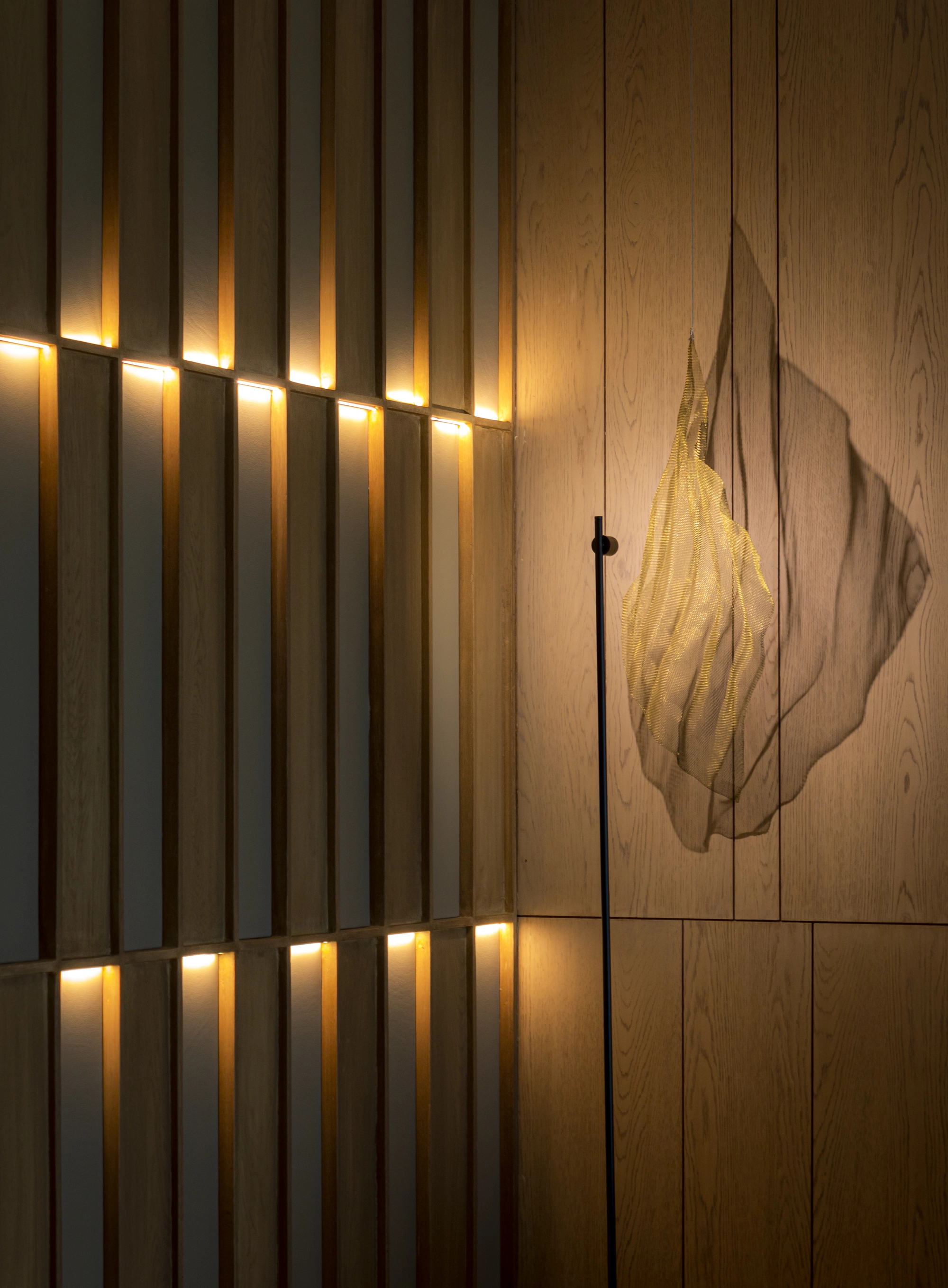 Project Image 2